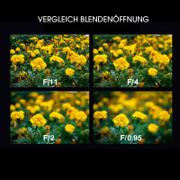 Vorschau: LAOWA Argus 33mm f/0,95 CF APO Objektiv für Nikon Z (APS-C) Vorschau: LAOWA Argus 33mm f/0,95 CF APO Objektiv für Nikon Z (APS-C)