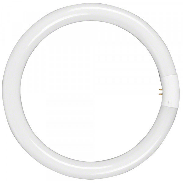Walimex äußere Lampe 40W für Walimex Beauty Ringleuchte 90W