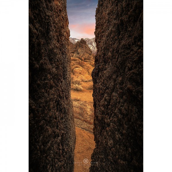 LAOWA 24mm T14 2X Periprobe für Nikon F