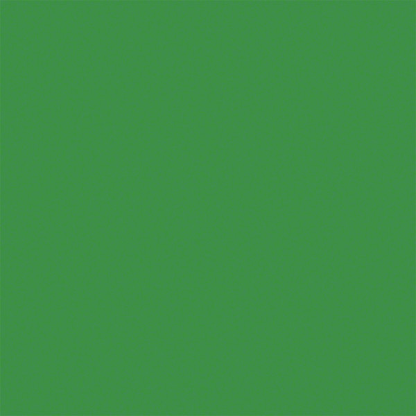 Savage XXL Hintergrundkarton 3,56x32m, Tech Green / Chromagreen (Kern Ø 63mm)