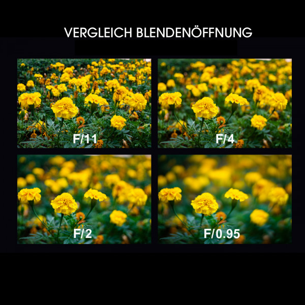 LAOWA Argus 33mm f/0,95 CF APO Objektiv für Nikon Z (APS-C)