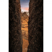 LAOWA 24mm T14 2X Periprobe für Nikon F: LAOWA 24mm T14 2X LAOWA 24mm T14 2X Periprobe für Nikon F: LAOWA 24mm T14 2X Periprobe für Nikon F