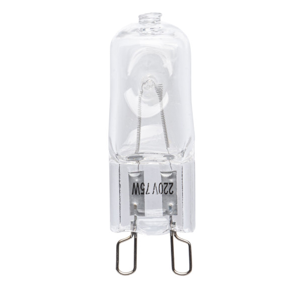 Walimex pro Einstelllicht für Newcomer G9 75W