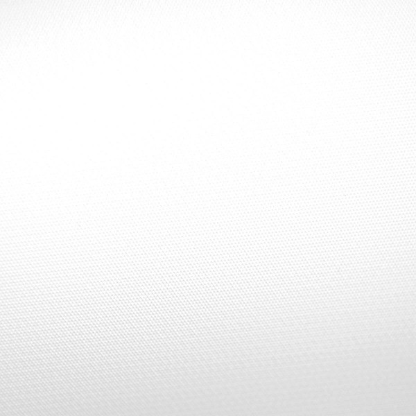 Savage (Tetenal) Hintergrundkarton 2,72x11m, Pure White